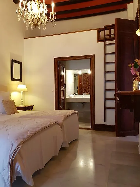 Palacio Del Cobertizo De Santa Ines Granada Bed & Breakfast